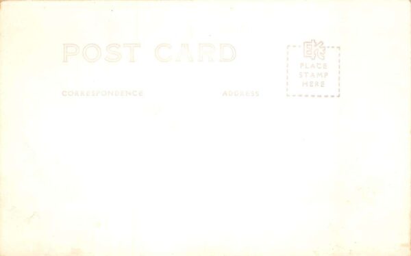 First Prize Lettuce Cabbage on Scale Farming Fair Real Photo Postcard AA66861 - Image 2