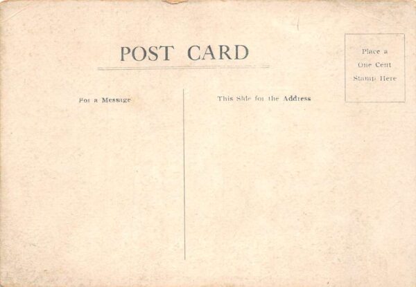 Albany New York State Capitol 1911 Fire Disaster Vintage Postcard AA67049 - Image 2