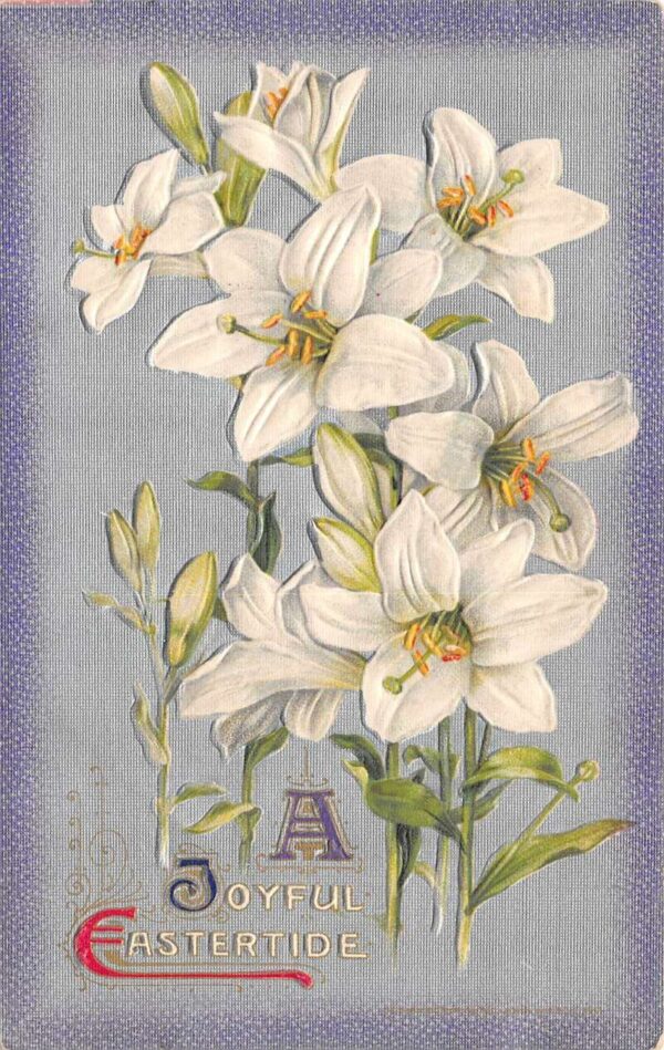 Easter "Joyful Eastertide", White Flowers Winsch, Vintage Postcard U4810