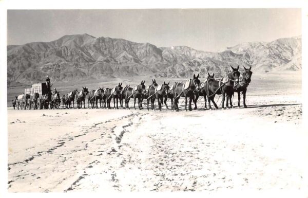 Death Valley California Mule Team Hauling Borax Real Photo Postcard AA67901