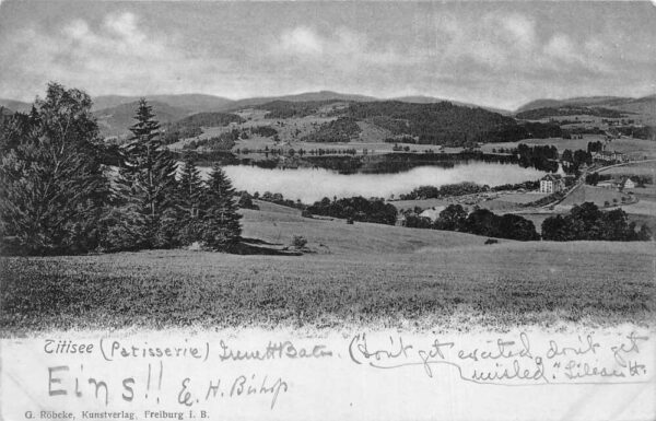 Titisee Germany Lake Scenic View Vintage Postcard AA67954