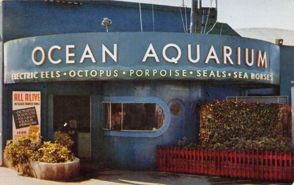 Hermosa Beach California Ocean Aquarium Entrance Vintage Postcard AA67955