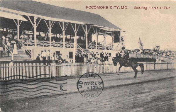 Pocomoke City Maryland Bucking Horse At Fair B/W Photo Print Vintage PC U4933