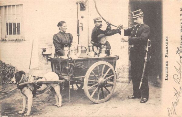 Laitiere Flamande Flemish Milkmaid Milk Delivery Dog Cart Postcard AA68181