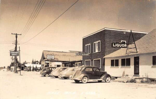 Hale Michigan Business District Liquor Store Real Photo Postcard AA68221