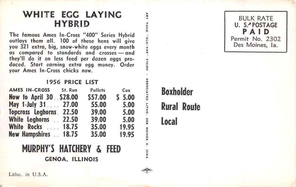 Genoa Illinois Murphy's Hatchery and Feed Chicken Farming Adv Postcard AA68326 - Image 2