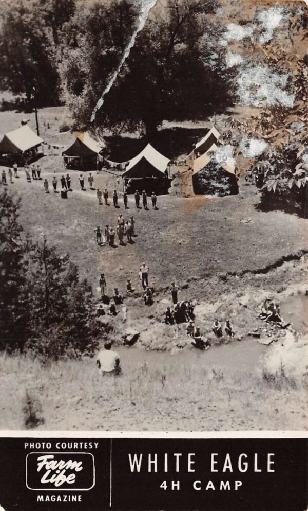 Illinois White Eagle 4H Camp Tents Scenic View Real Photo Postcard AA68335