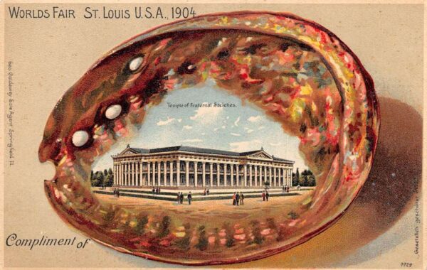 St Louis Missouri 1904 Worlds Fair Fraternal Societies Shell Border PC AA68441