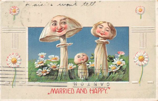 Greetings Married and Happy Fantasy Mushroom Faces Vintage Postcard AA68451