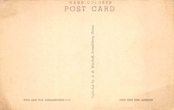 Panther Pennsylvania Panther Post Office Gas Station Vintage Postcard AA68560 - Image 2