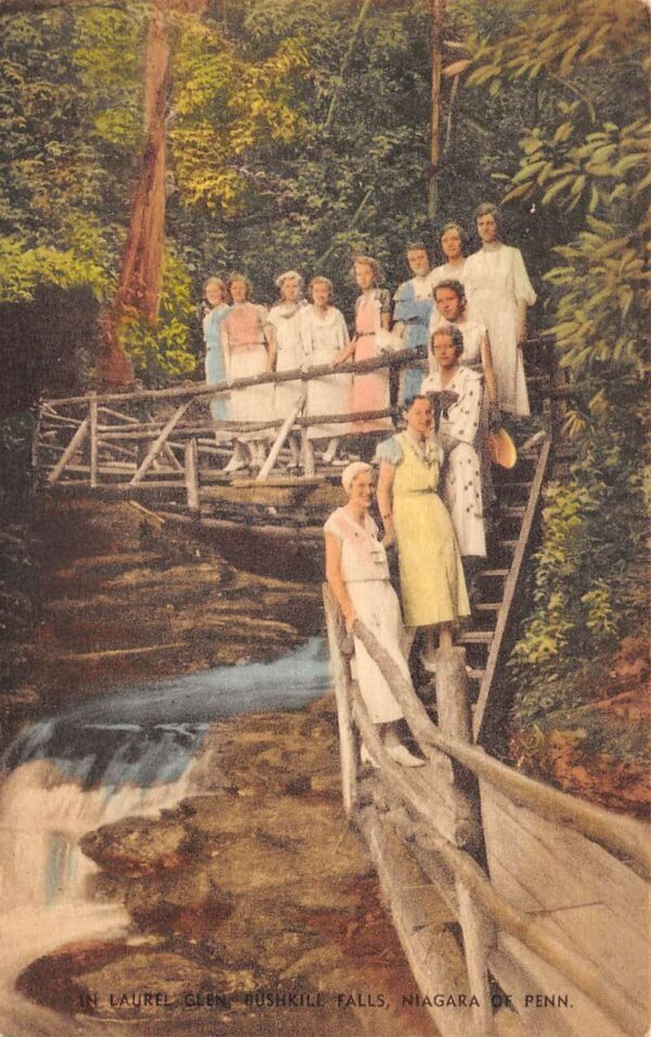 Bushkill Falls Pennsylvania Laurel Glen Ladies by Waterfall Postcard AA68600