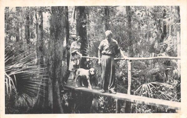 Palmdale Florida Fisheating Creek Swamp Walk with Dog Vintage Postcard AA68621