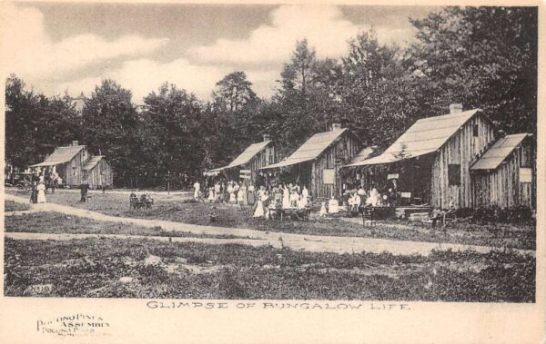 Pocono Pines Assembly Pennsylvania Cabins Bungalow Life Vintage Postcard AA68838