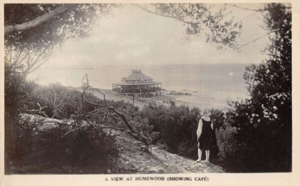Port Elizabeth Humewood South Africa Beach Cafe Real Photo Postcard AA68869