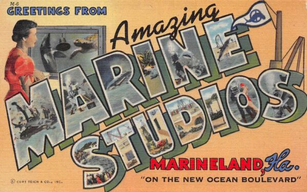 Marineland Florida Greetings From Marineland Studios Large Letters PC U5168