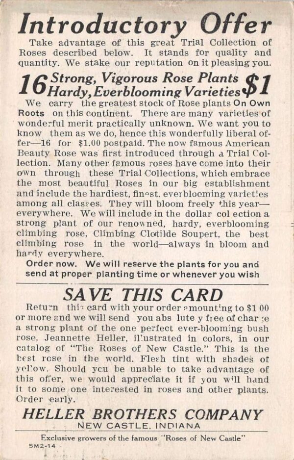 New Castle Indiana Heller Bros. Company Roses Sellers, Intro Offer Ad PC U5206 - Image 2