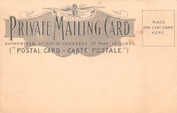 Mildred Holland Broadway Actress Advertising Private Mail Postcard AA69306 - Image 2