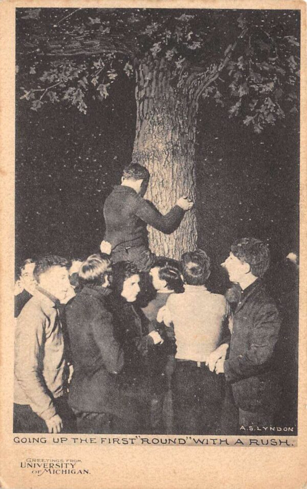 Ann Arbor Michigan Students Hugging Tree, University Of Michigan PC U5212