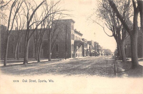 Sparta Wisconsin Oak Street, Undivided Back B/W Photo Print Vintage PC U5355