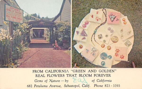 Sebastopol California Jepsen's Gems Of Nature Real Flower Jewelry Multi-View PC U5835