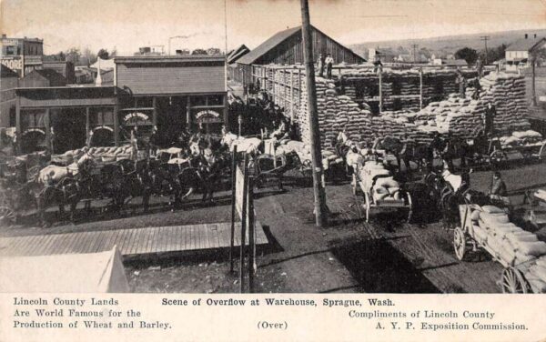 Sprague Washington Overflow Scene At Warehouse B/W Photo Print Vintage PC U5966