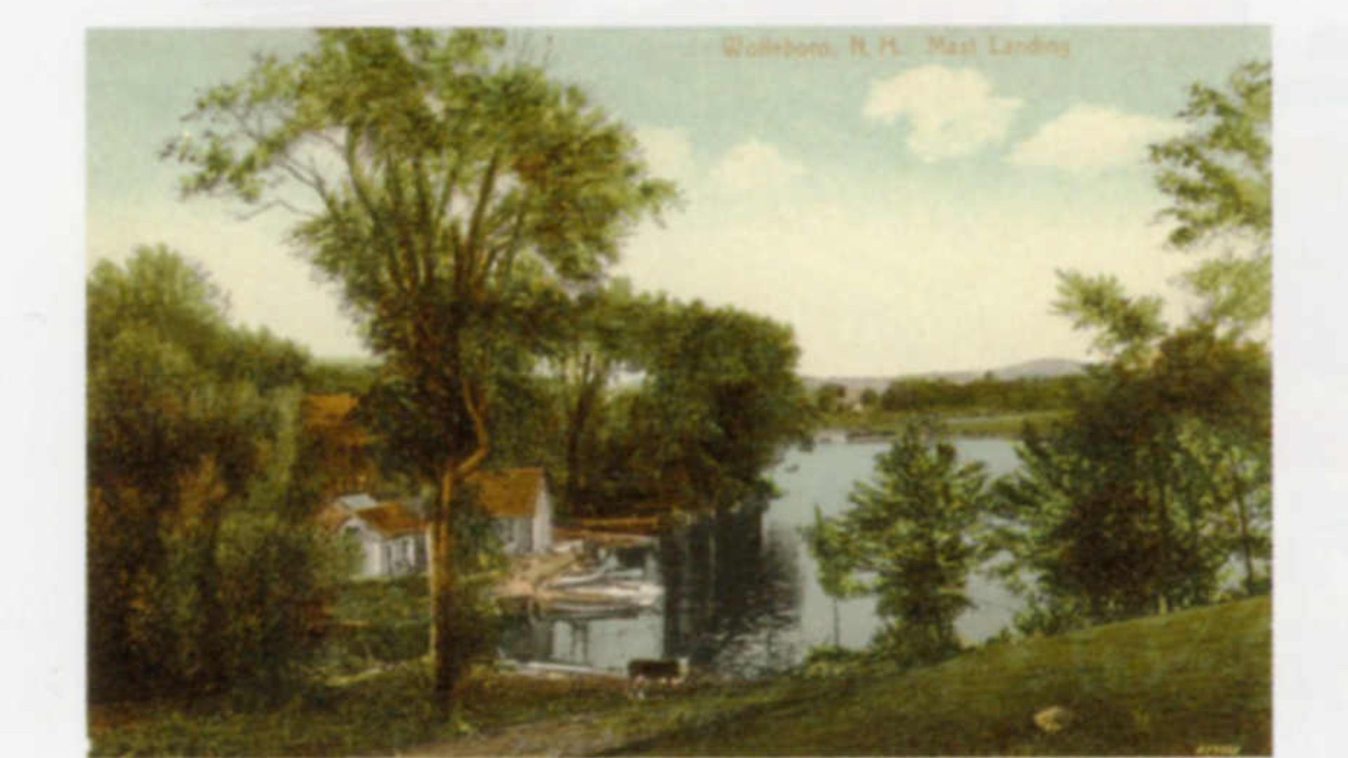 vintage postcard of a lake with trees