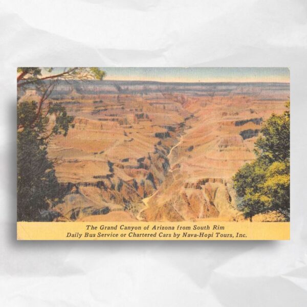 grand canyon vintage postcard