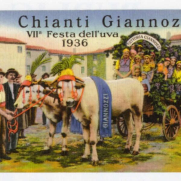 vintage postcard with cows on it