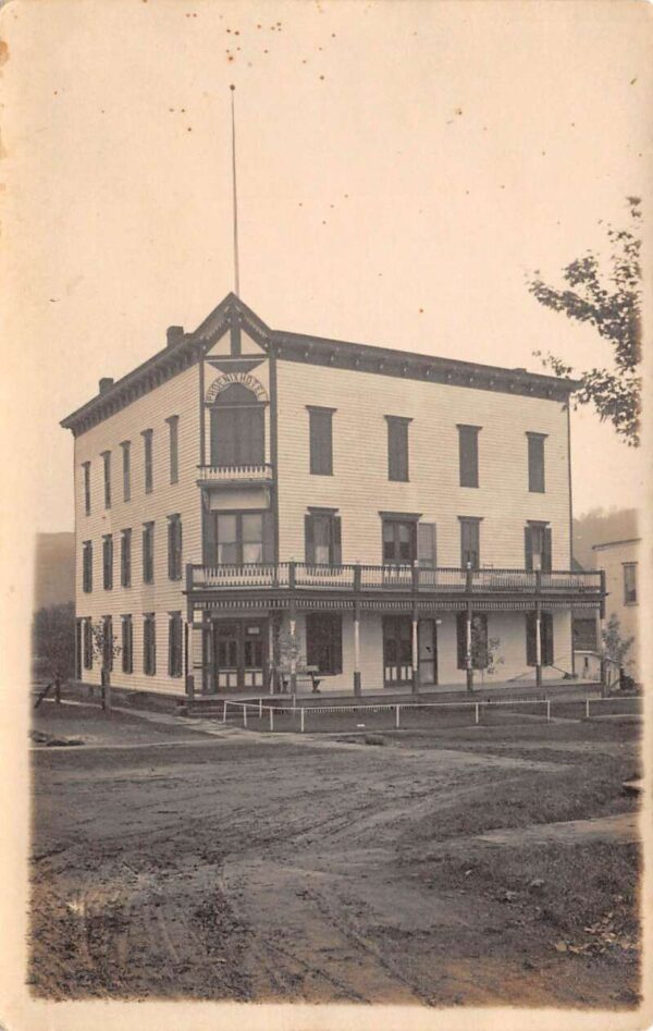 McDonough New York Hotel Phoenix Real Photo Vintage Postcard AA69080