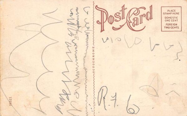 Chicago Illinois Redpath Chautauqua Special Train, 1913 Vintage Postcard U6235 - Image 2