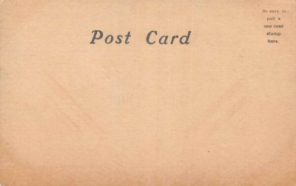Plattsburg New York Boats In Tow, Lake Champlain, B/W Lithograph Postcard U6358 - Image 2