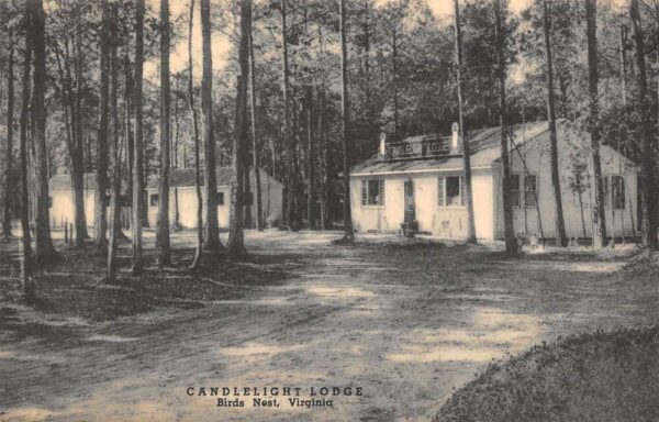 Bird's Nest Virginia Candlelight Lodge B/W Photo Print Vintage Postcard U6434