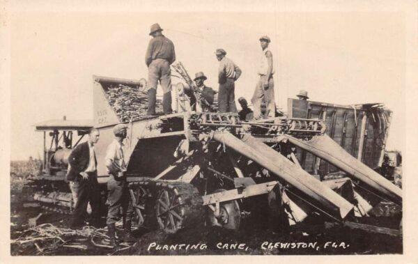 Clewiston Florida Farming Scene Planting Sugar Cane Real Photo Postcard AA69174