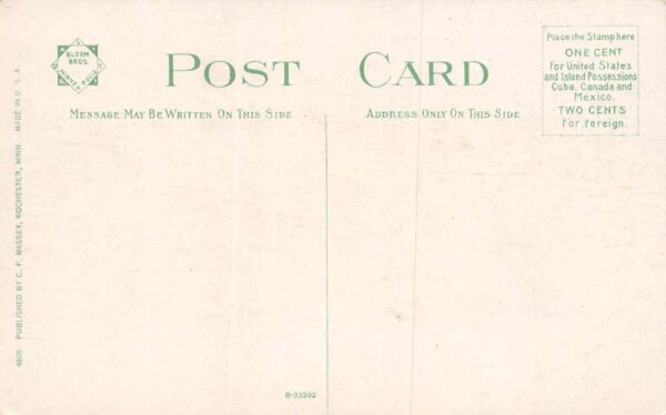 Rochester Minnesota C.F. Massey's Dry Goods & Clothing Color Litho. PC U6457 - Image 2