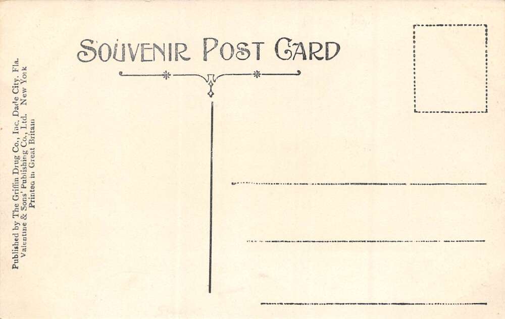 Dade City Florida South Florida Normal Institute Color Lithograph PC U6652 - Image 2