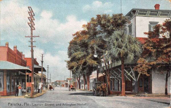 Palatka Florida Lemon St. & Arlington Hotel Color Lithograph PC U6653