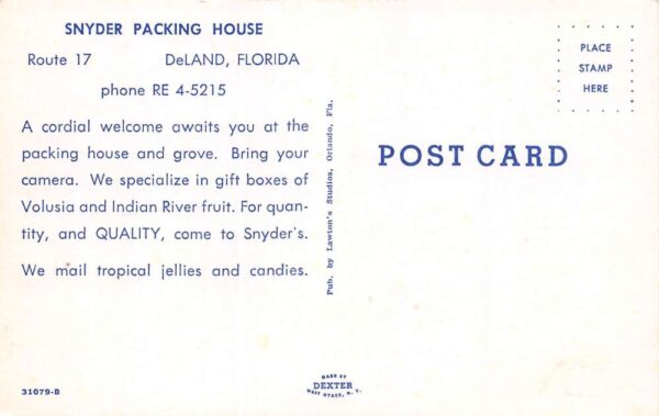 DeLand Florida Snyder Packing House Photochrome Vintage Postcard U6717 - Image 2