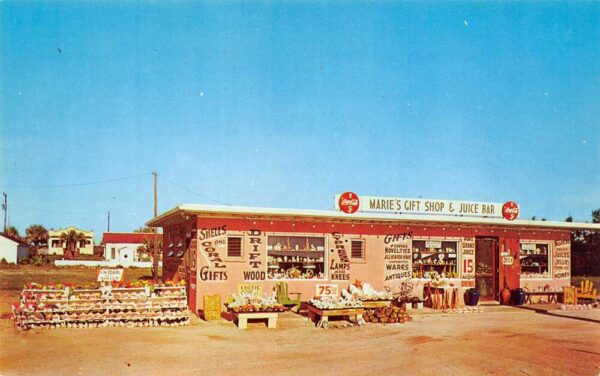 Flagler Beach Florida Marie's Gift Shop & Juice Bar Photochrome PC U6718