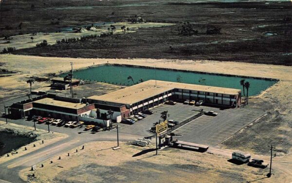 Ochopee Florida Golden Lion Motor Inn Chrome Vintage Postcard U6770