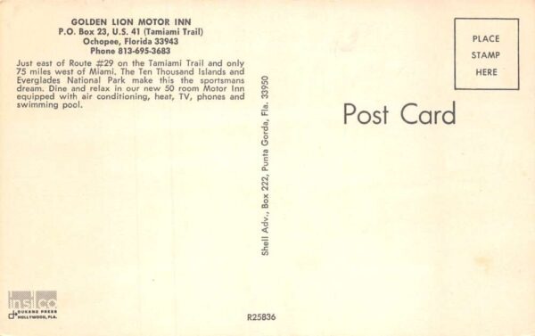 Ochopee Florida Golden Lion Motor Inn Chrome Vintage Postcard U6770 - Image 2