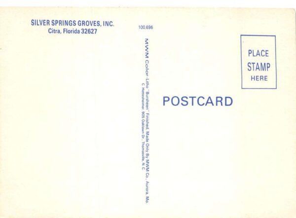 Citra Florida Silver Springs Grove Chrome Vintage Postcard U6768 - Image 2
