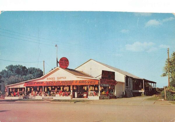 Deland Florida Snyder's Packing House Chrome Vintage Postcard U6769