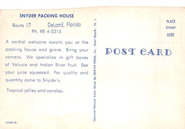 Deland Florida Snyder's Packing House Chrome Vintage Postcard U6769 - Image 2
