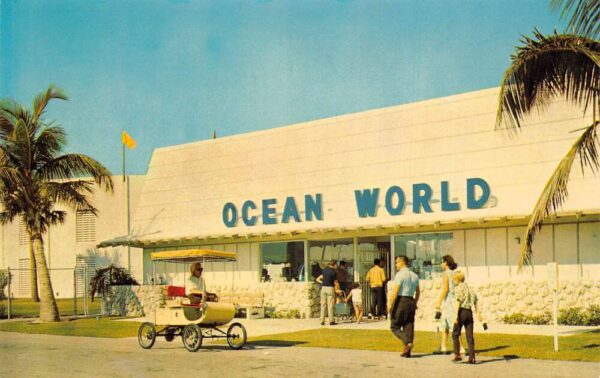 Ft Lauderdale Florida Entrance of Ocean World Chrome Vintage Postcard U6772