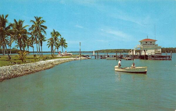 Tropical Marco Florida Tarpon Capital of the World Chrome Vintage Postcard U6782