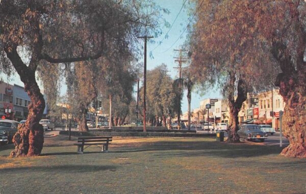 Ontario California Euclid Avenue, Photochrome Vintage Postcard U6898