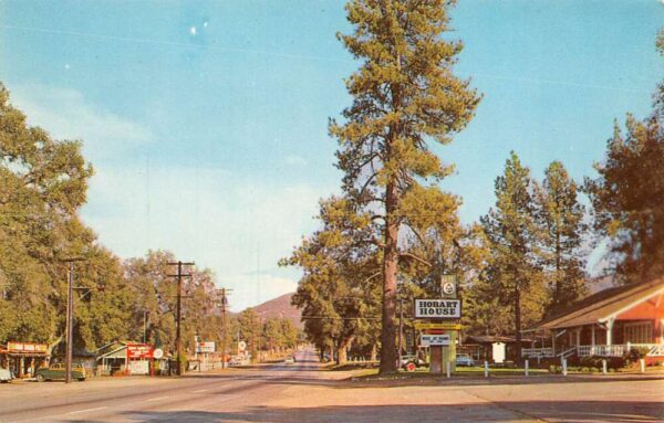 Pine Valley California Town View, Hobart House, Photochrome Vintage PC U6921