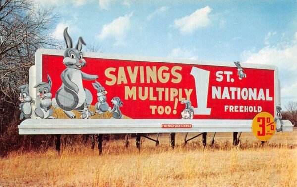 Freehold New Jersey First National Bank Bunny Billboard Adv Postcard AA69395