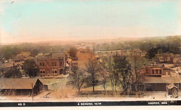 Hooper Nebraska Birds Eye View Tinted Real Photo Vintage Postcard AA69424