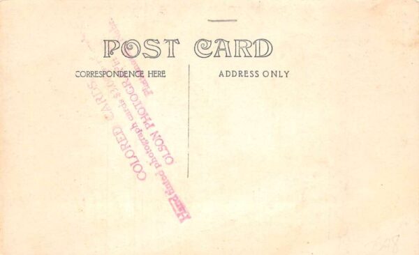 Hooper Nebraska Birds Eye View Tinted Real Photo Vintage Postcard AA69424 - Image 2
